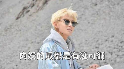 吃瓜不能说的话视频,网络舆论的边界与智慧