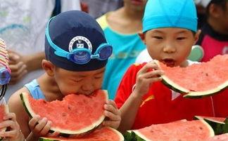 小朋友吃生瓜好嘛视频,小朋友吃生瓜的趣味体验