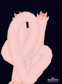 抖音吃瓜猪猪特效视频,吃瓜猪猪,带你领略趣味短视频魅力