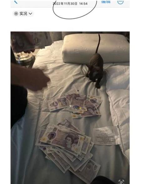 伦敦吃瓜一秒50磅视频,一秒狂吃50磅瓜果挑战极限