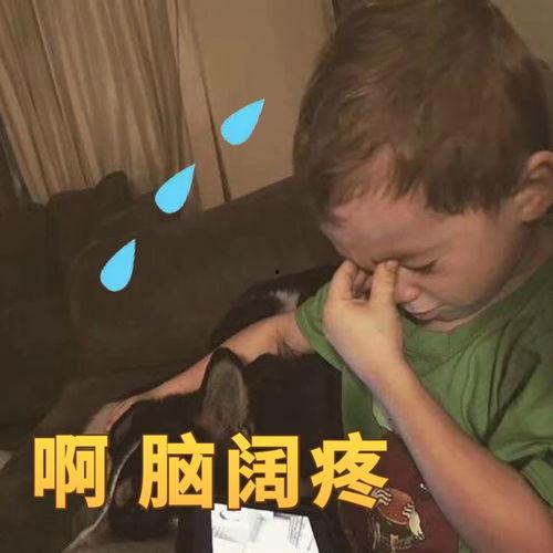 18岁的吃瓜视频大全,盘点年度热门视频大全