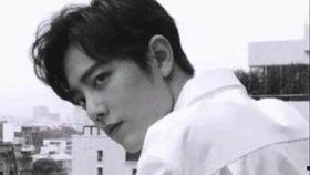 肖战吃瓜儿真实事件视频,揭秘网络舆论背后的真相