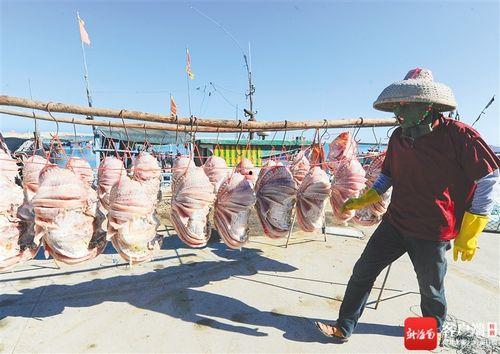 海南渔民吃瓜视频大全下载,夏日风情尽收眼底