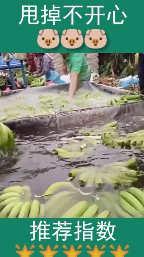 孙子跟奶奶抢瓜吃视频,孙子与奶奶温馨抢瓜瞬间