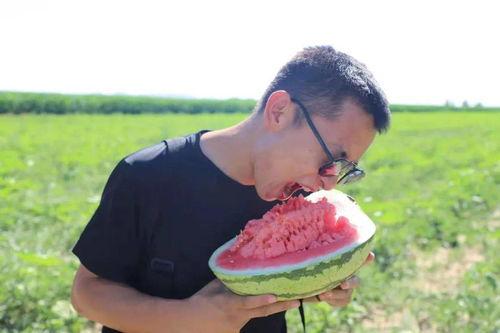 呼唤吃瓜群众视频播放,呼唤吃瓜视频播放量飙升,揭秘背后故事