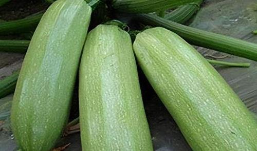 9月份最火吃瓜视频,揭秘娱乐圈幕后真相!