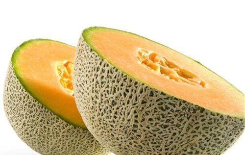 鸟吃不吃哈密瓜呢视频,吃与不吃之谜