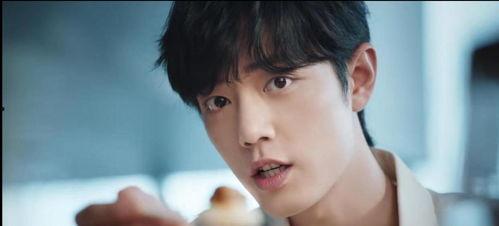 肖战吃呆瓜视频大全集,视频大全集趣味回顾