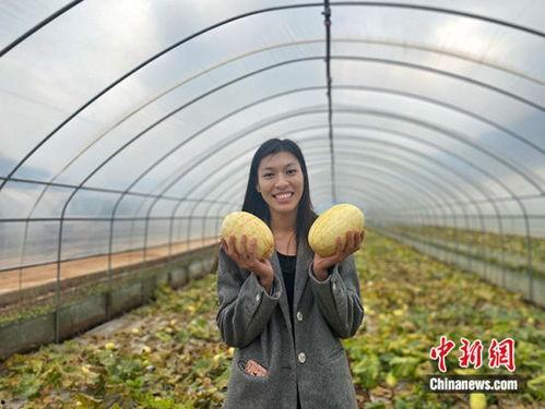 吃云南小瓜蜜的视频,甜蜜滋味,探寻云南特色美食之旅