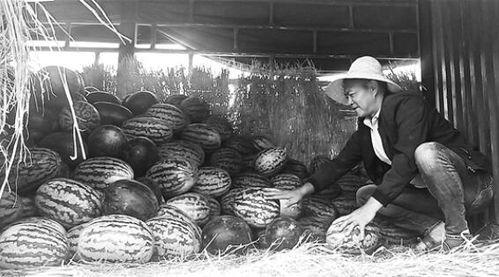 泗水吃瓜群众事件视频曝光,视频曝光揭示惊人真相